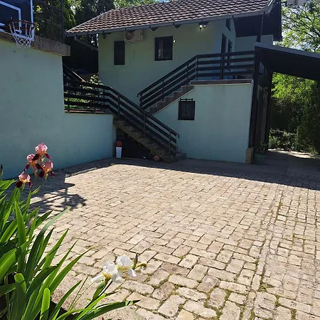 Teja * Novi Ledinci